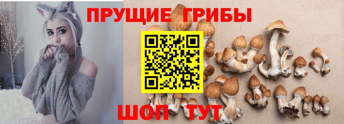 Батайск  Галлюциногенные грибы Magic Shrooms  Вход с VPN 